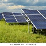 高清特黄特色在线视频 7opot7b8ji