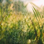 高清视频 okyingshi rjru0