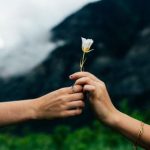 setup synonym:探索“setup”一词的多种同义表达与应用场景 9pgna