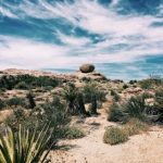 人人为我2048核基地登录:探索未来科技的无限可能 bnabiv